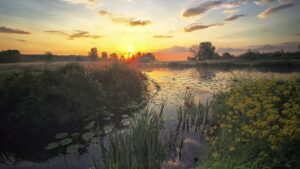 Home Fotowedstrijd Liggend Small 300x169